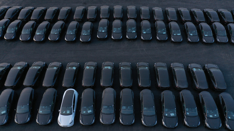 In this aerial view newly completed Tesla Model Y electric cars stand at the new Tesla Gigafactory electric car manufacturing plant on March 25, 2022 near Gruenheide, Germany.