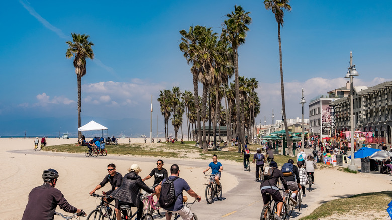 People riding bikes on Venice beach