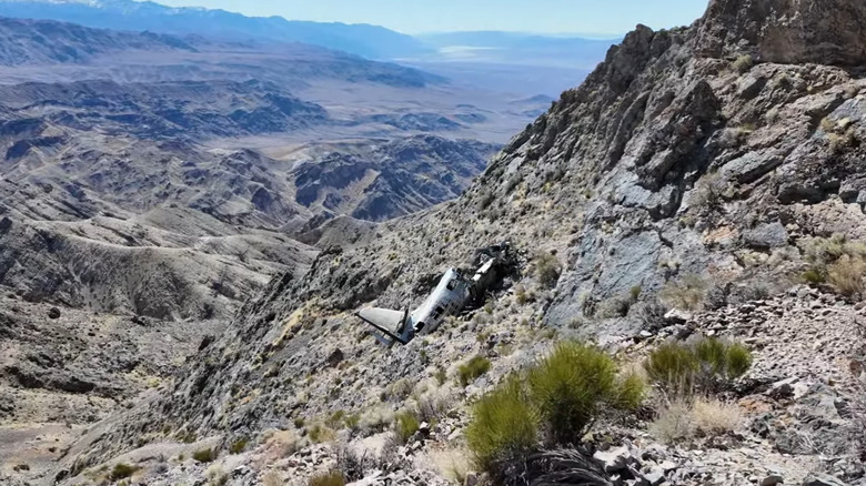 The Death Valley Albatross