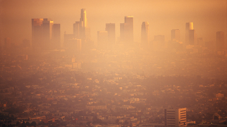 A smoggy day in downtown LA