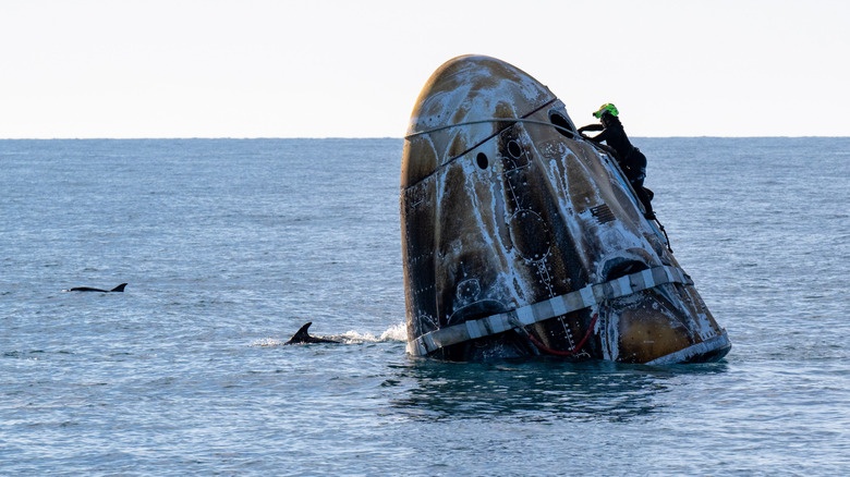 This handout image was provided by a third-party organization and may not adhere to Getty Images' editorial policy) In this handout image provided by the National Aeronautics and Space Administration (NASA), support teams work on the SpaceX Dragon spacecraft shortly after it landed with NASA astronauts Nick Hague, Suni Williams and Butch Wilmore, and Roscosmos cosmonaut Aleksandr Gorbunov onboard on March 18, 2025 off the coast of Tallahassee, Florida.