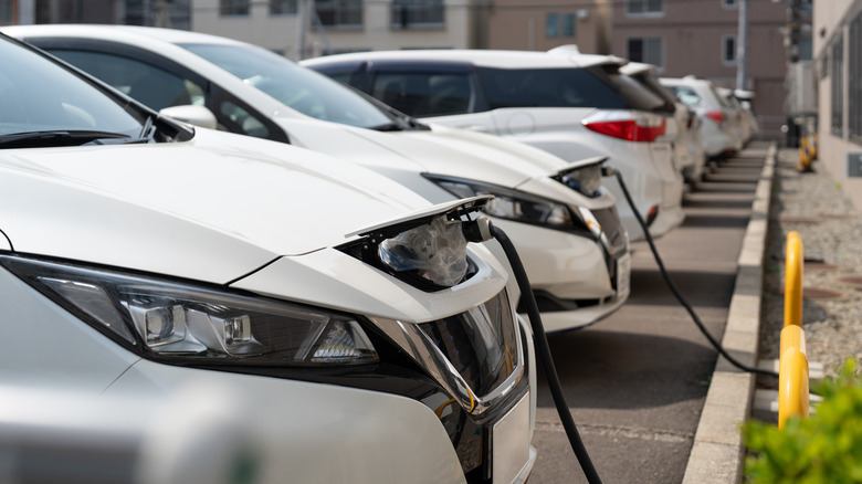 A photo of electric cars on charge.