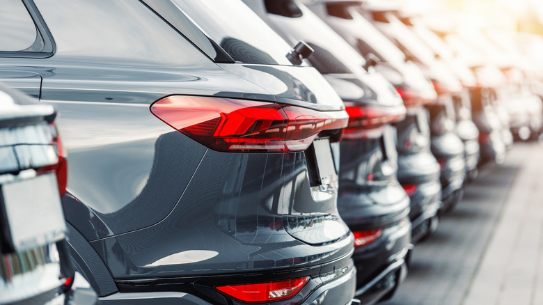 Cars parked on used car lot