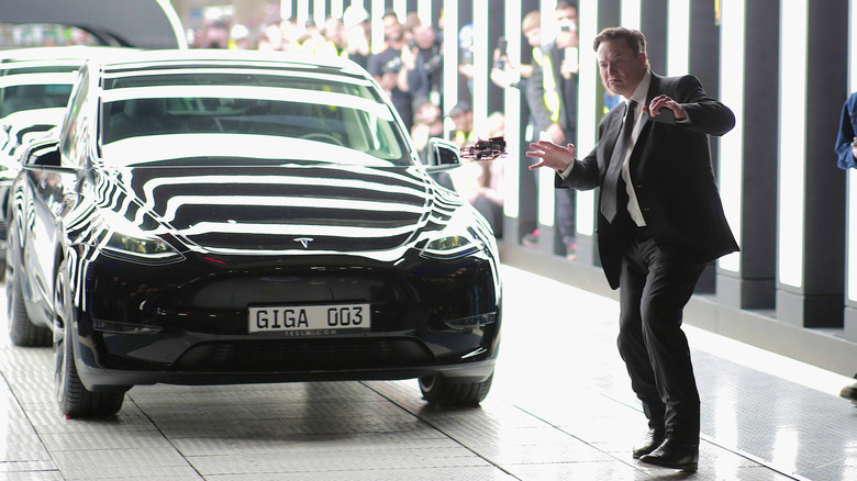 Elon Musk with a Model Y