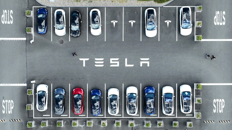 Tesla cars