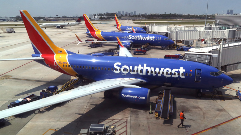 Southwest Airlines airplanes are serviced at their gates at Fort Lauderdale-Hollywood International Airport on May 18, 2024, in Fort Lauderdale, Florida.