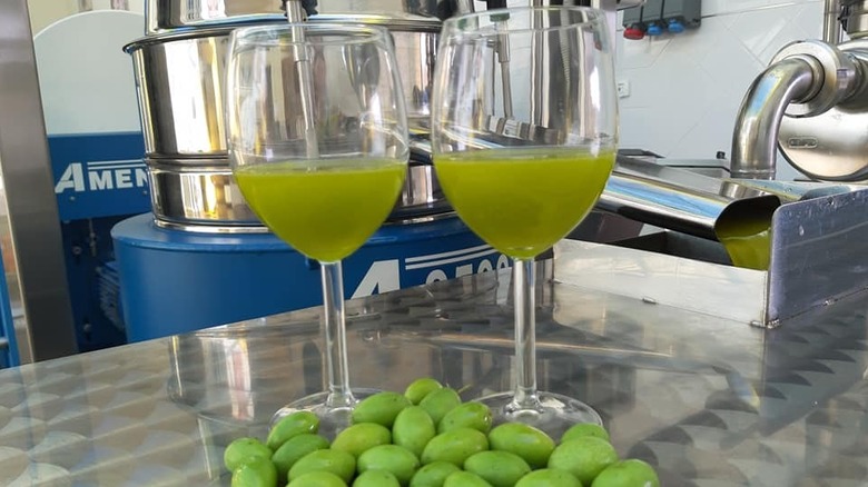 Olives on a table in front of wine glasses full of olive oil