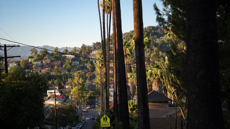 a look down a steep Silverlake road