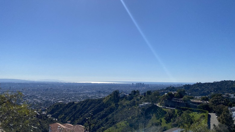 A view of LA from the top of Runyon Canyon