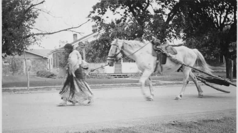 A woman walks a horse carrying a travois