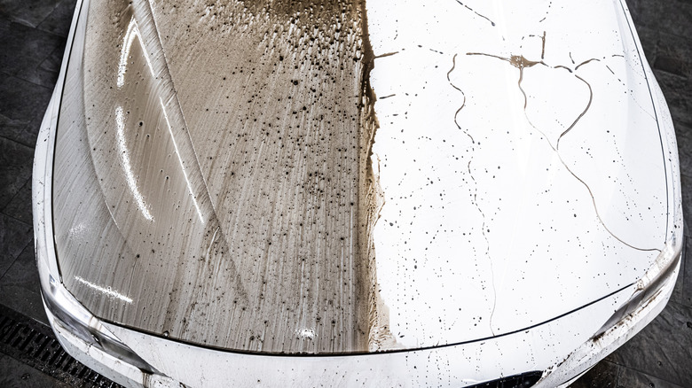 A white car hood showing effect after applying ceramic coating, one side without protection is dirty with mud and the other side is clean