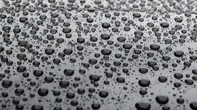 Water drops on car paint showing hydrophobic water effect on car body after using ceramic coating