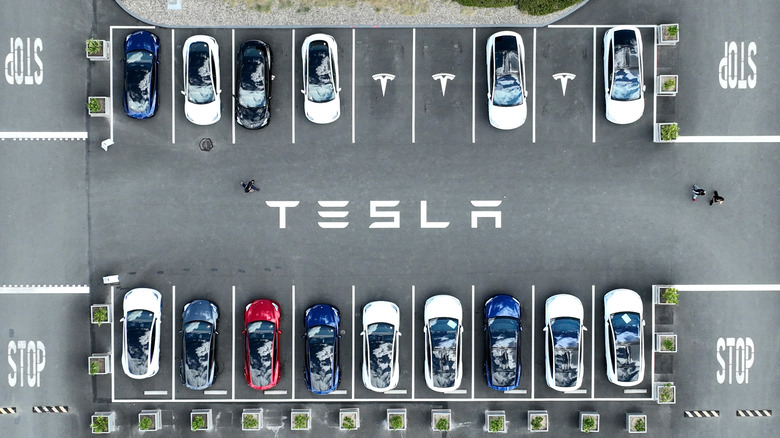 Teslas in a parking lot