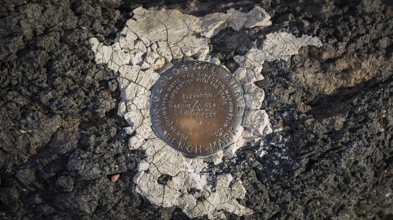 A photo of a USGS marker in a park.