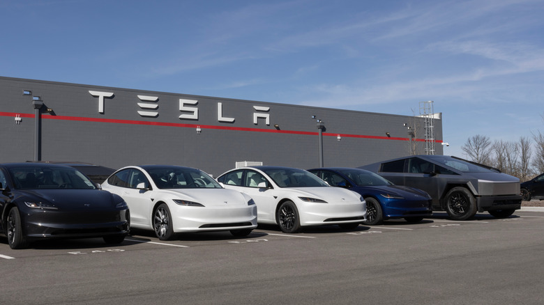 A photo of cars at a Tesla dealer.