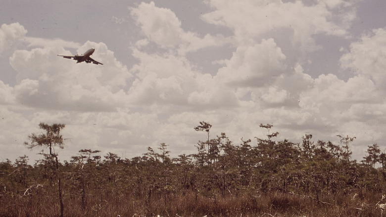 A jet landing at the Everglades JetPort