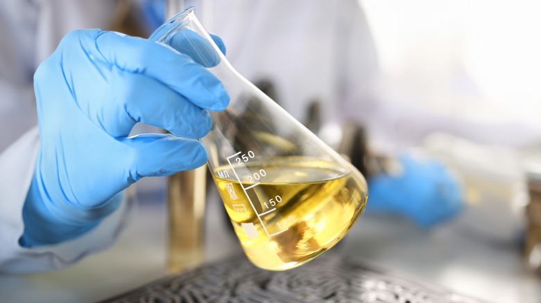 A scientist wearing blue gloves holds a flask full of oil