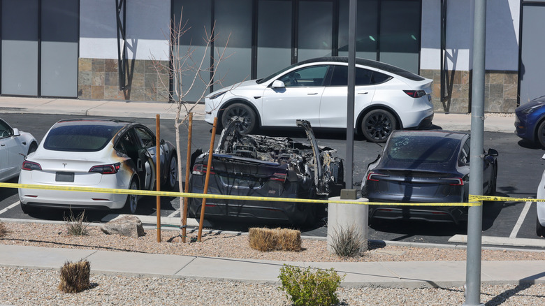 A photo of two burned out Teslas.