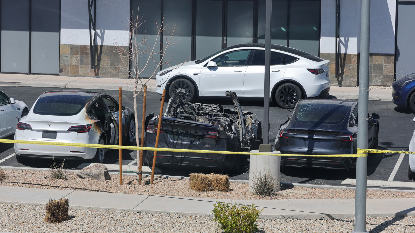 Tesla Attacks Branded 'Domestic Terrorism' As DOJ Pushes For Harsh Sentences For Damaging Teslas