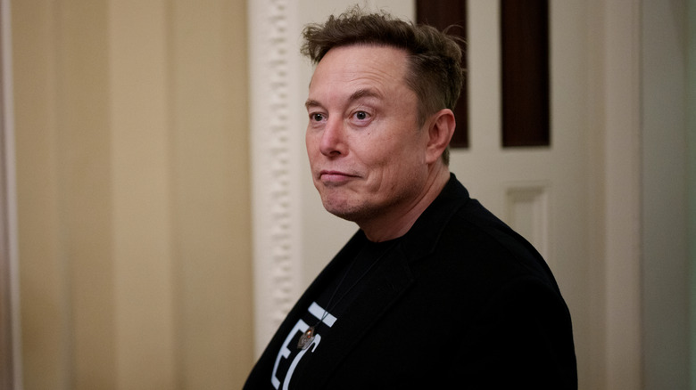 A photo of Tesla boss Elon Musk.