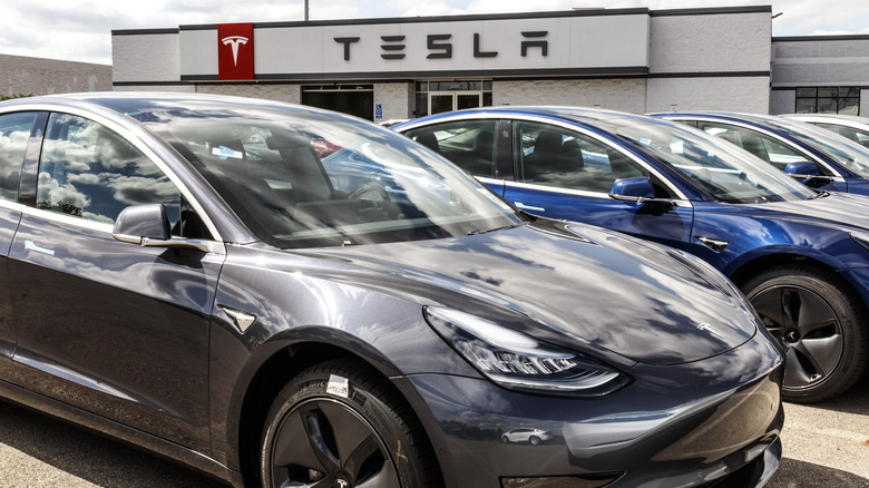 Teslas lined up in front of a dealership