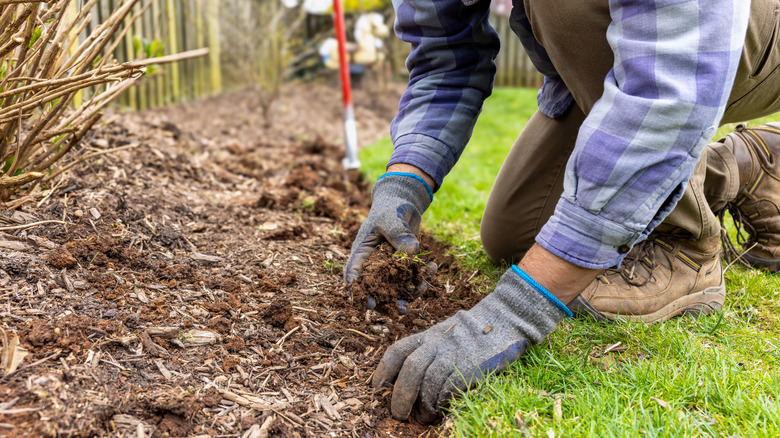 Gloved hands digging in dirt