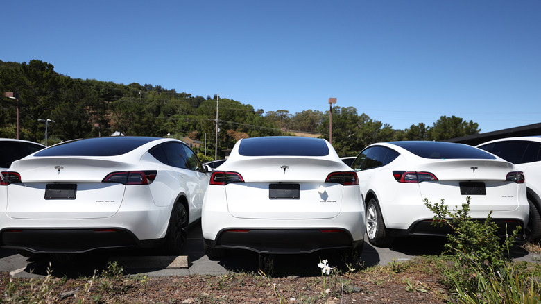 Tesla Parking