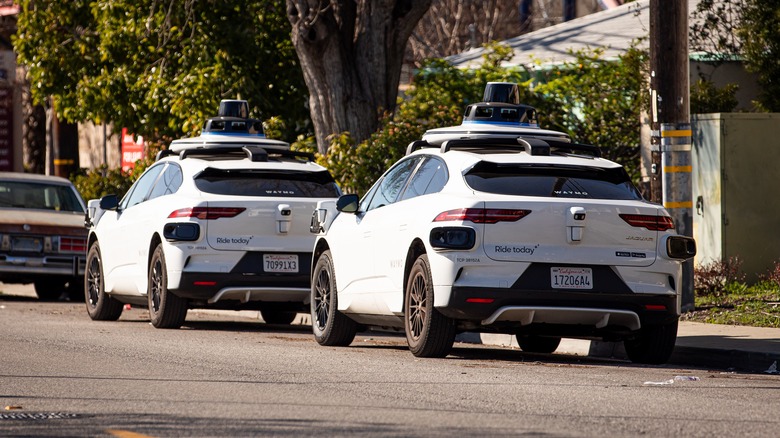 Waymo cars parked along a street in Mountain View, Silicon Valley. Waymo driverless ride sharing robo taxi car, back view