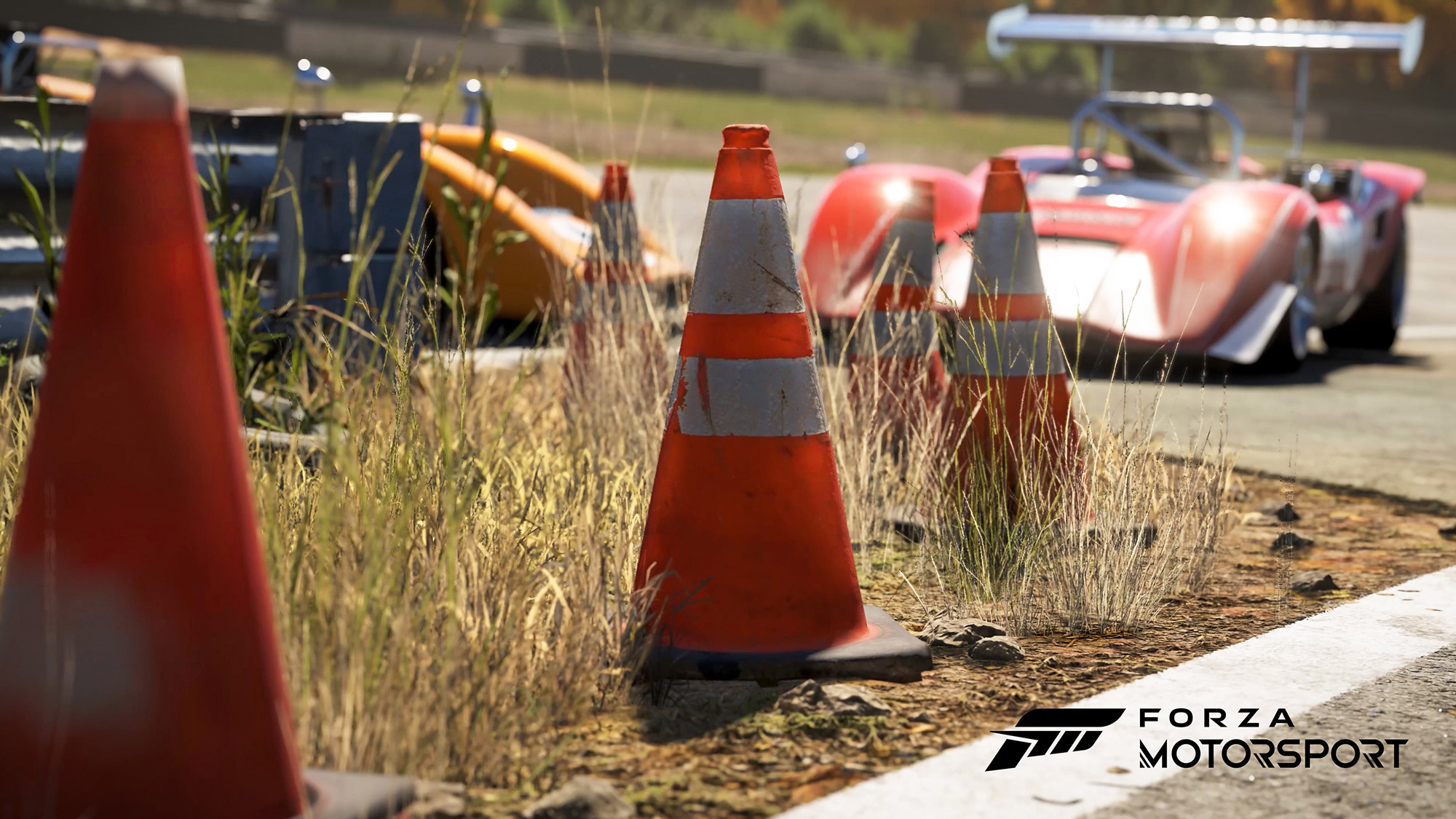 A promotional image from the new Forza Motorsport showing vegetation detail at the Maple Valley circuit, with vintage McLaren Can-Am prototypes in the background.