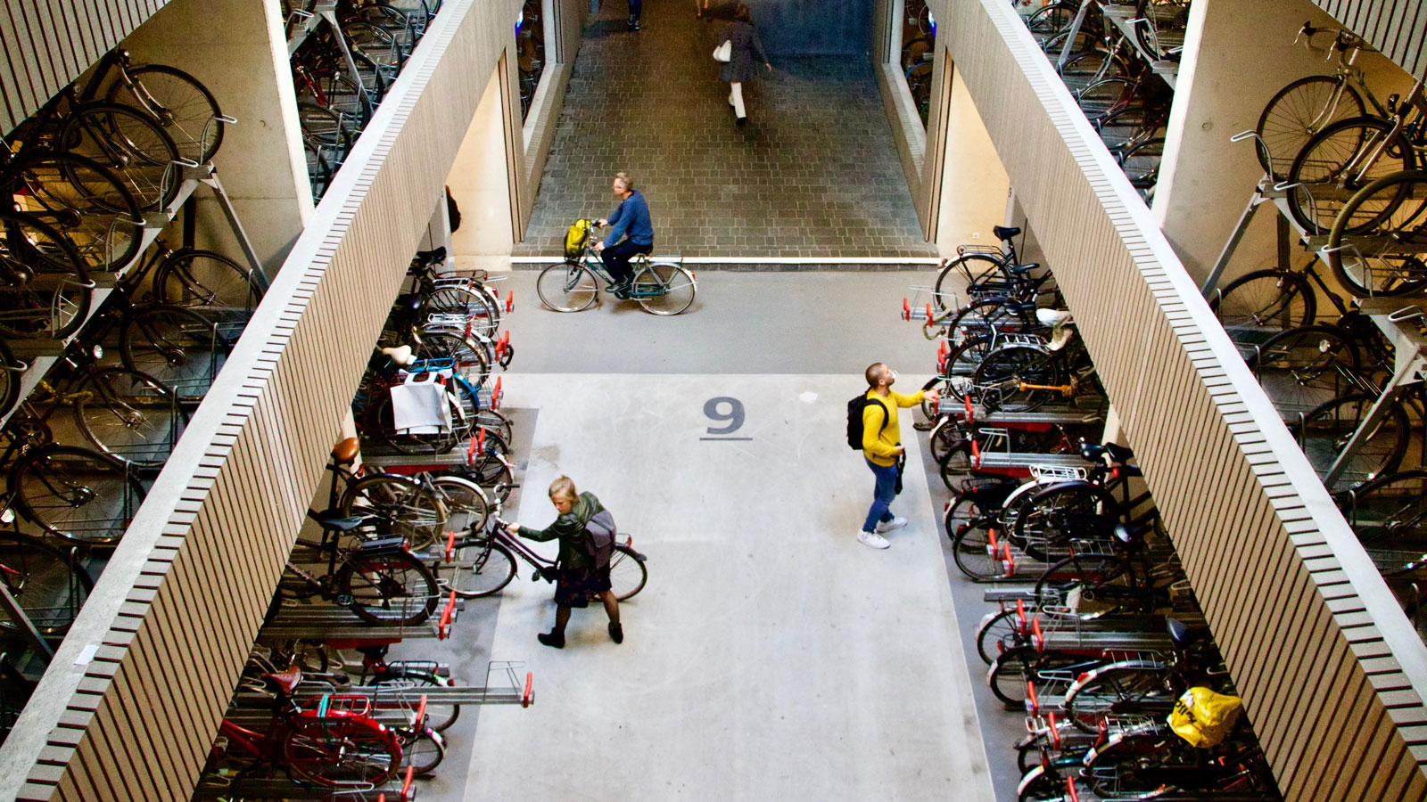 A photo of the stacks of bikes in an underground garage in The Netherlands. 