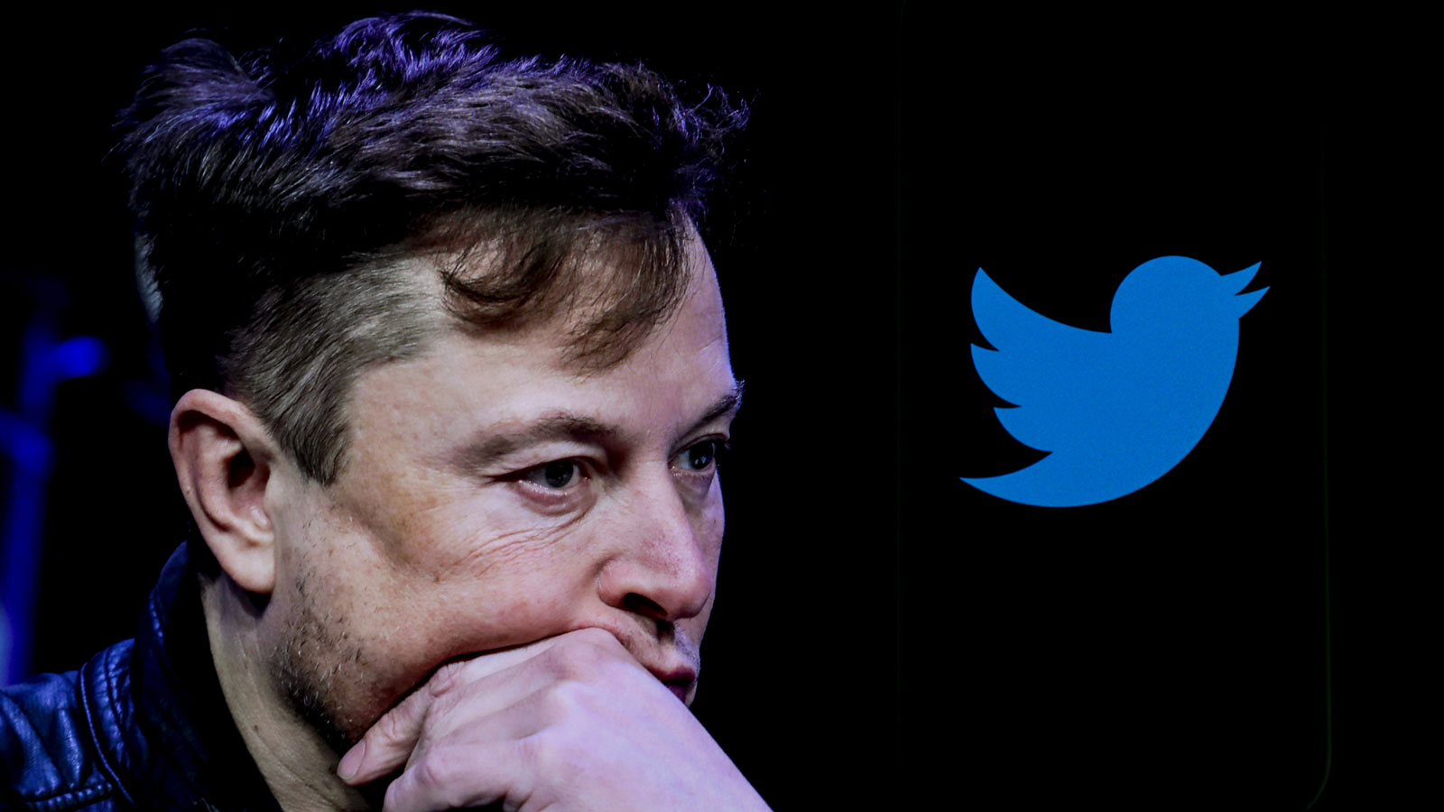 A photo of Elon Musk next to the Twitter logo. 