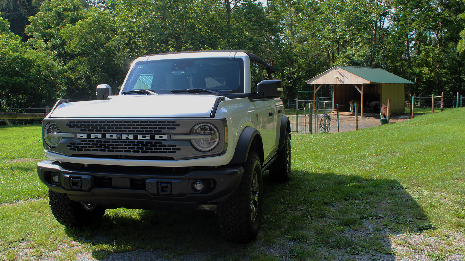 A photo of a Ford Bronco on an alpaca farm. 