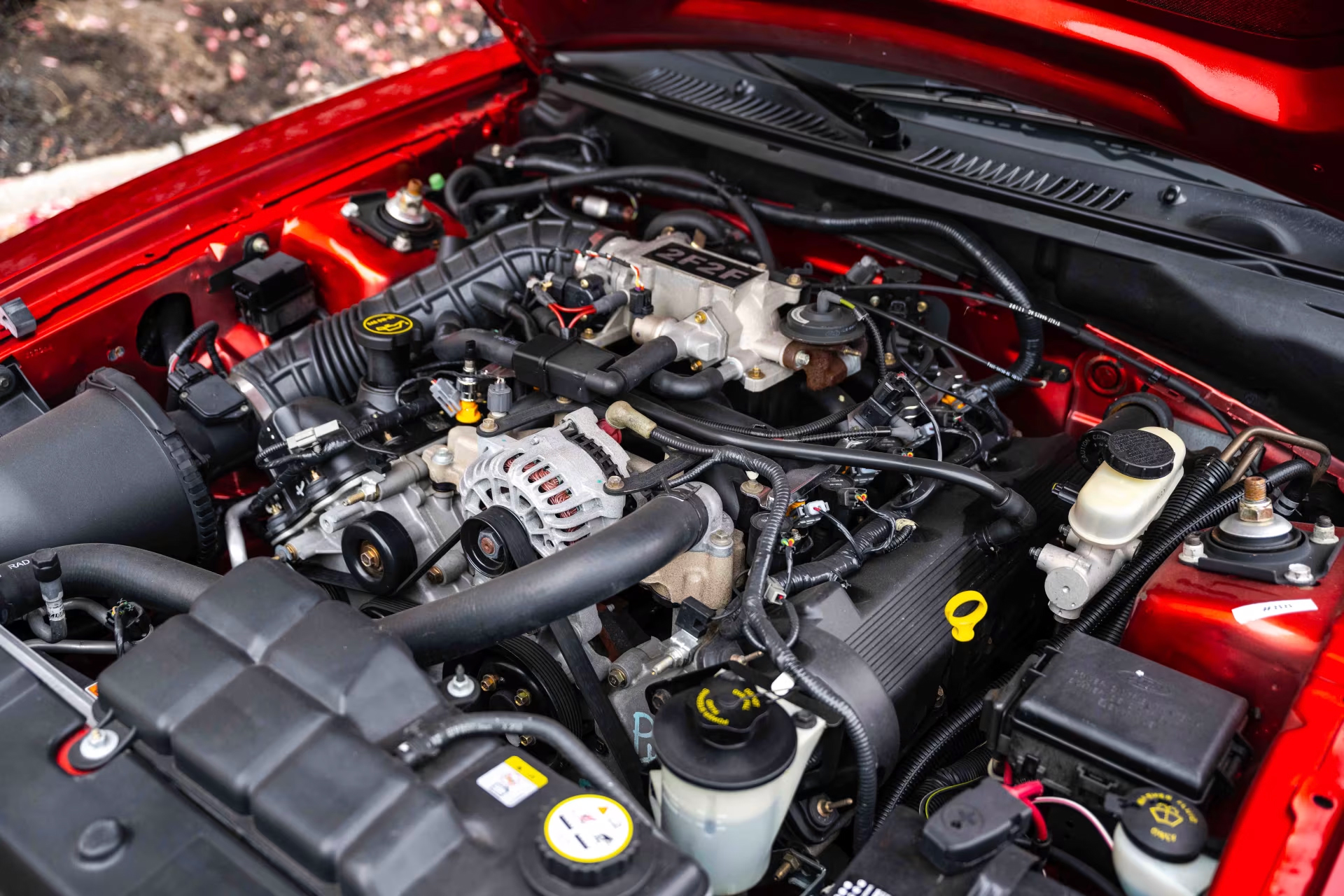 Engine bay of a Saleen Ford Mustang