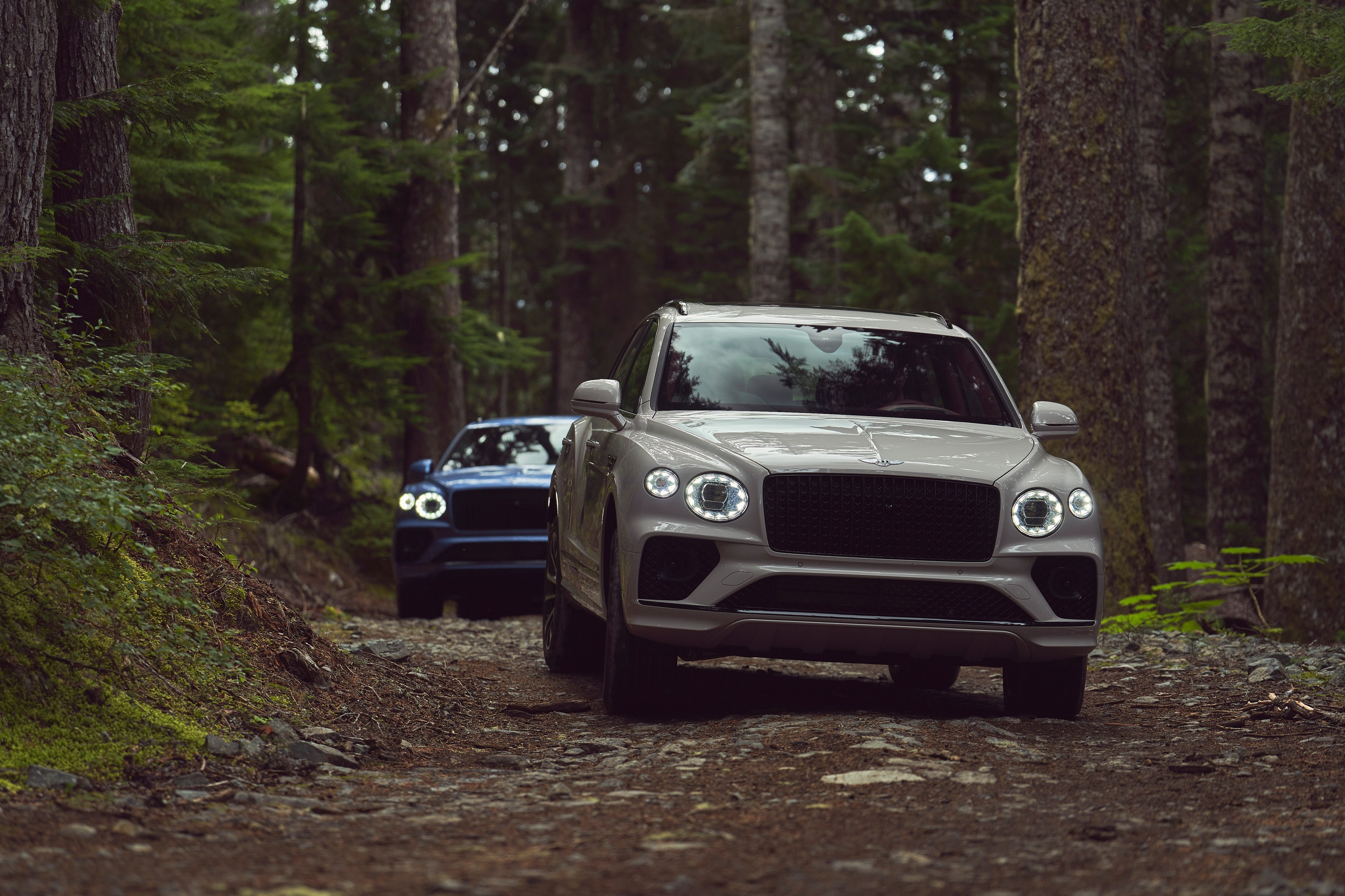 A pair of Bentley Bentaygas on a forest road.