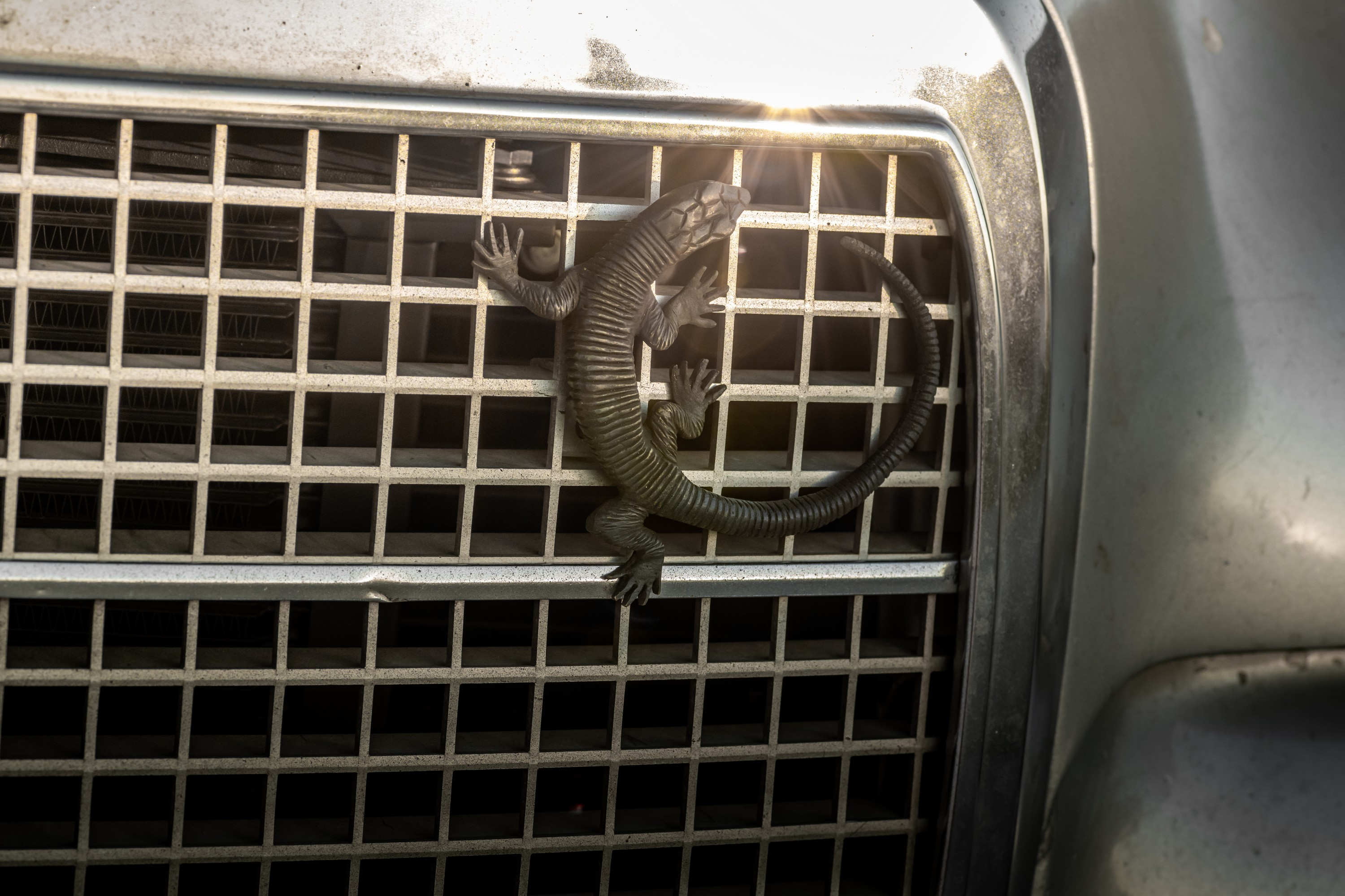 A lizard emblem on the grille of a 1971 Mercedes-Benz 300SEL 6.3