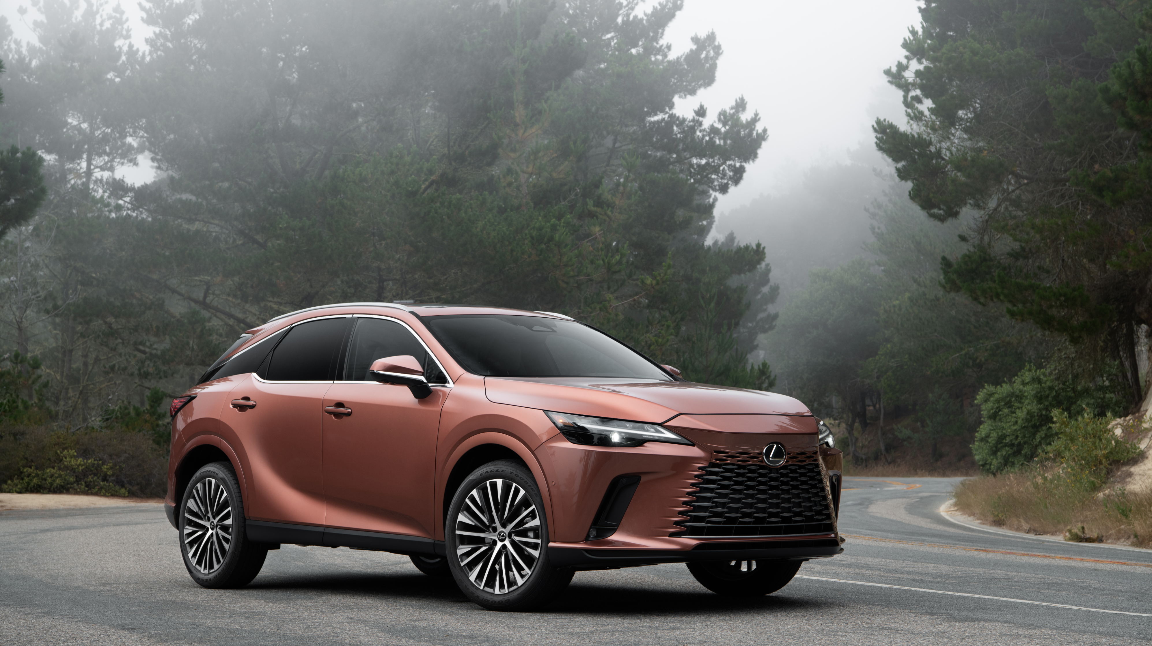 A bronze Lexus RX 350 parked on the side of a mountain road in the fog