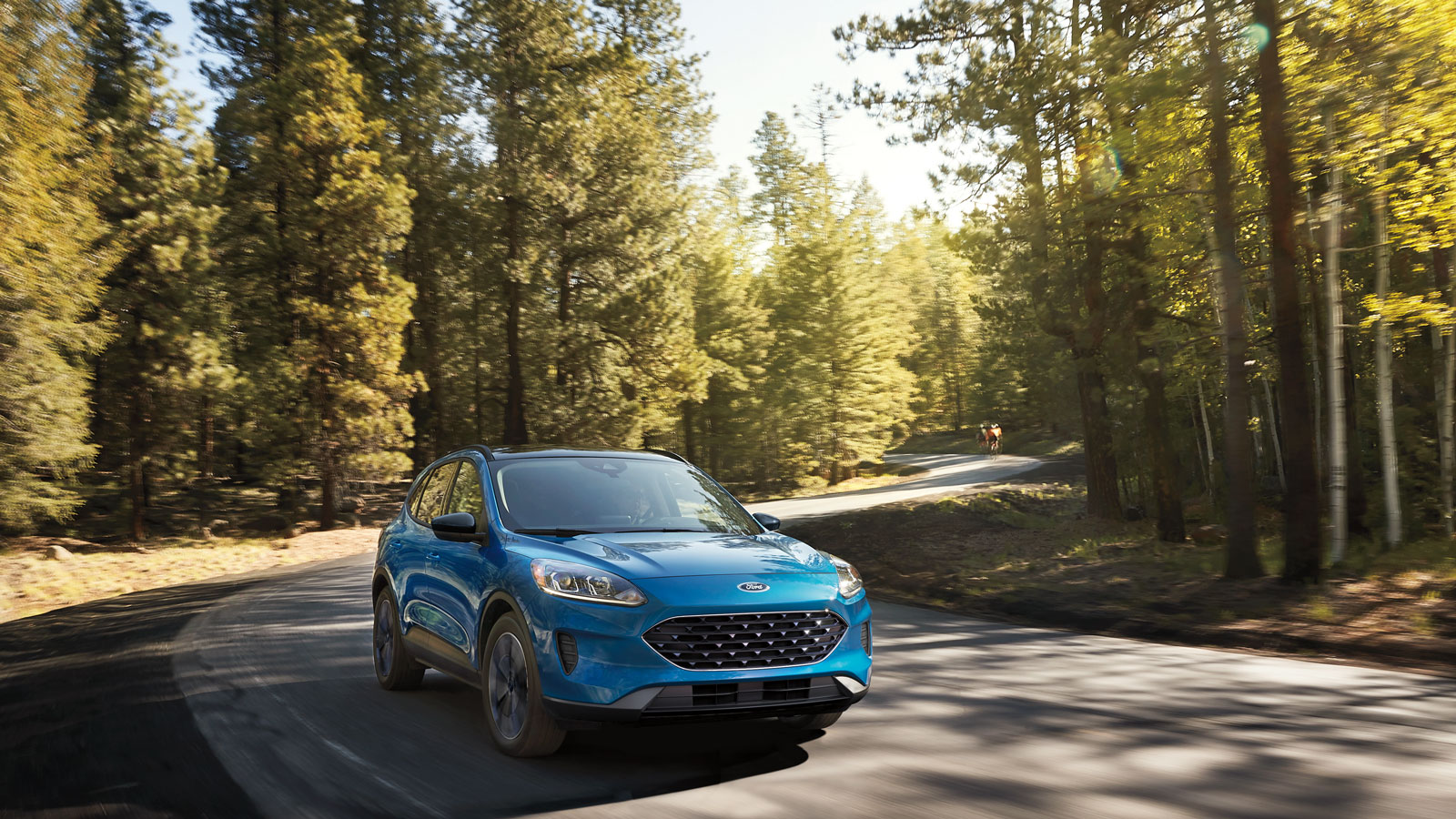 A photo of a blue Ford Escape on a country road. 