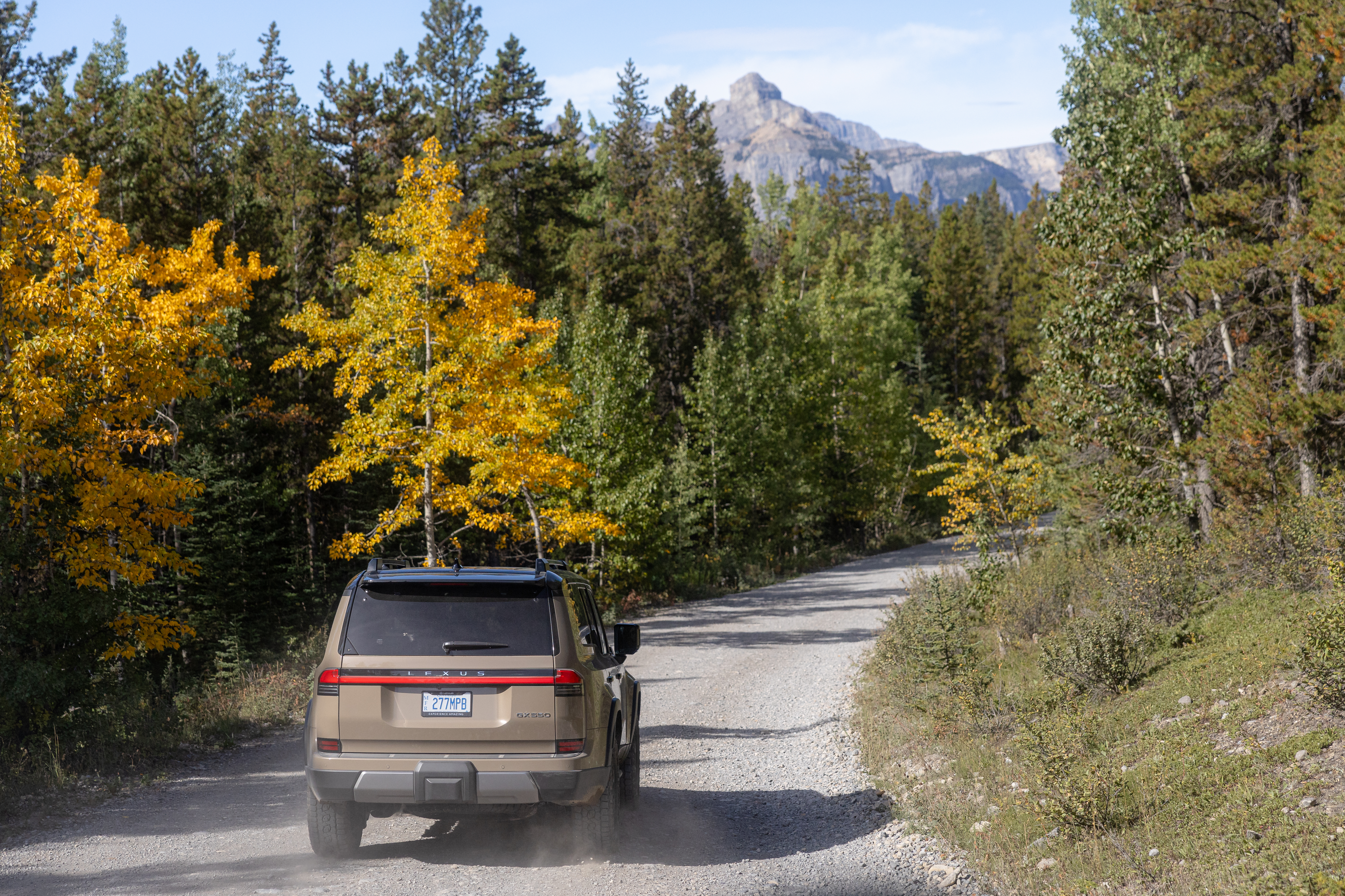 Rear view of a beige Lexus GX 550 driving through a forest