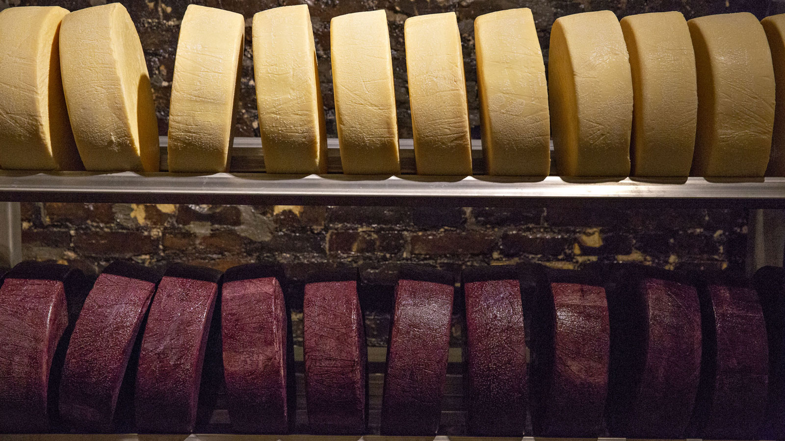 A photo of two rows of Wisconsin-made cheese maturing. 