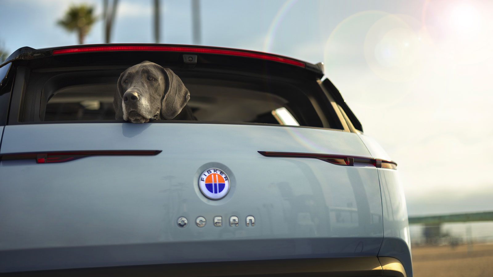 A photo of a black fluffy dog hanging its head out the rear window of a Fisker Ocean SUV. 