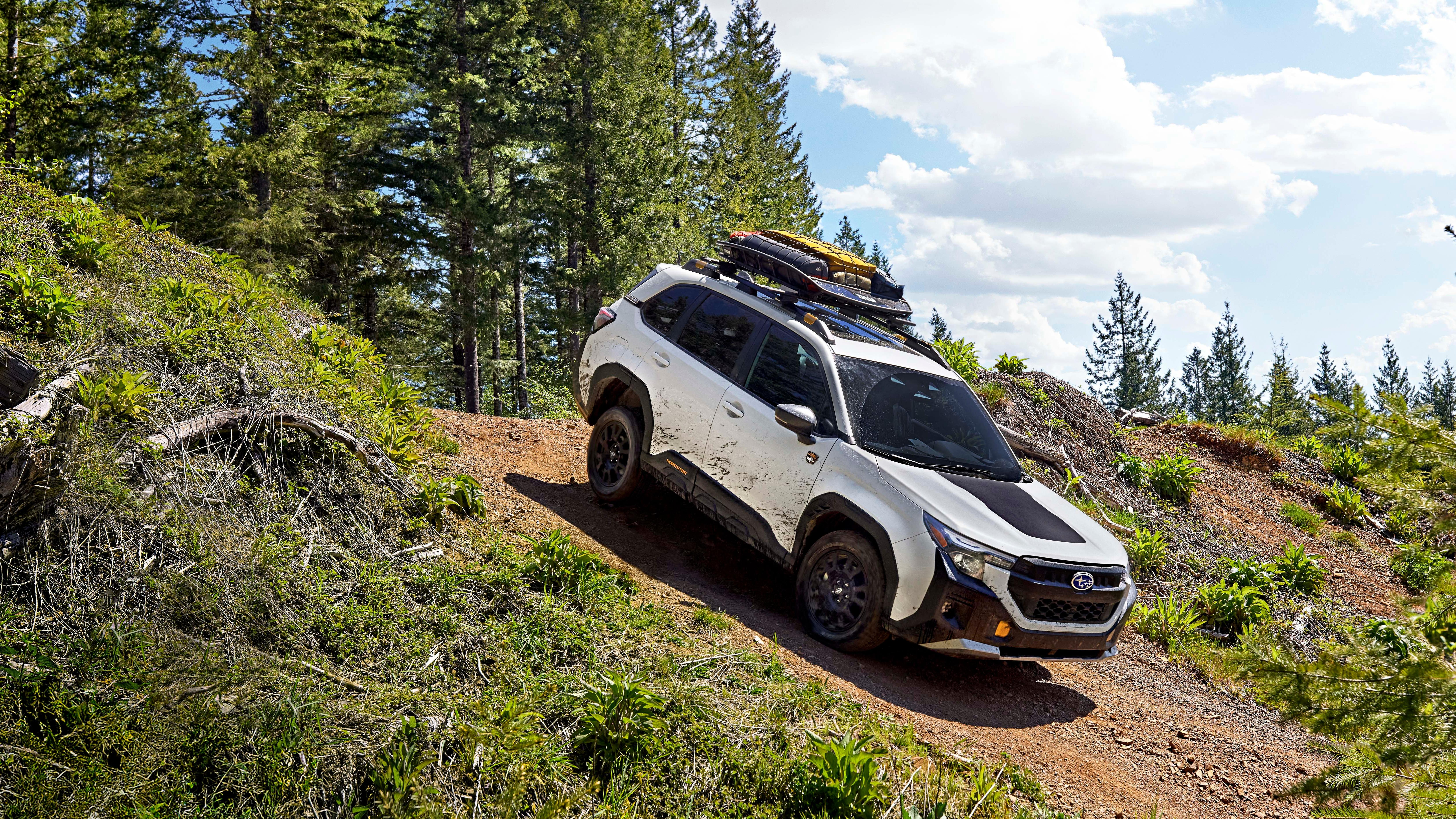 A white Forester wilderness driving down a dirt grade in a forest