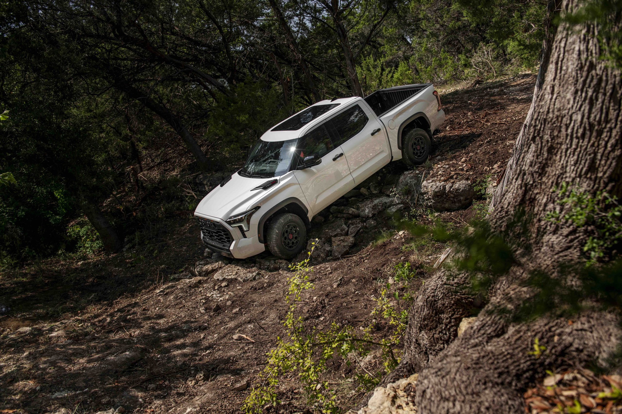 2024 Toyota Tundra TRD Pro