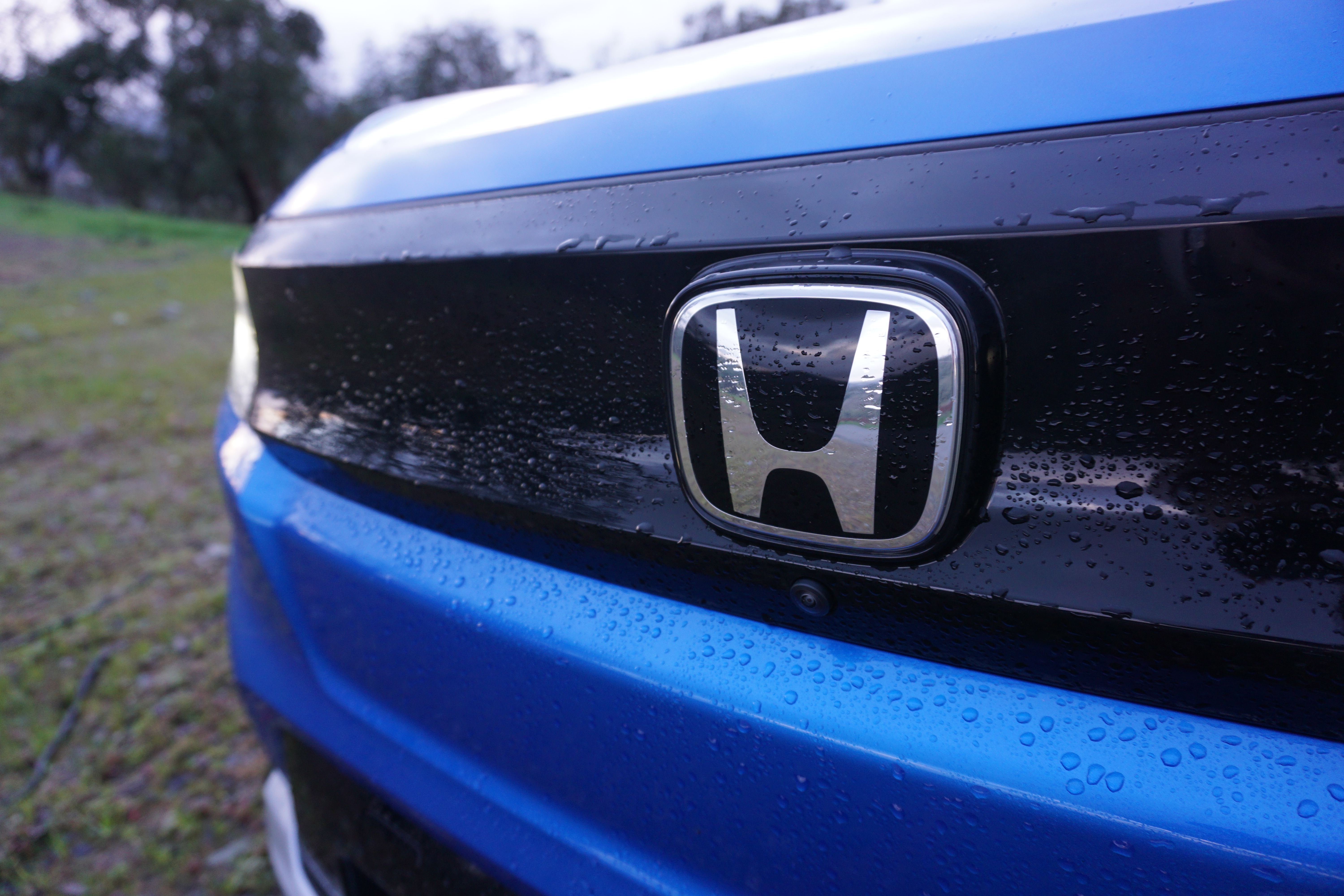 A blue 2024 Honda Prologue Elite.