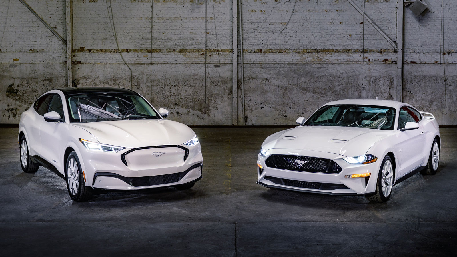 A photo of two electric and gas-powered Ford Mustangs. 