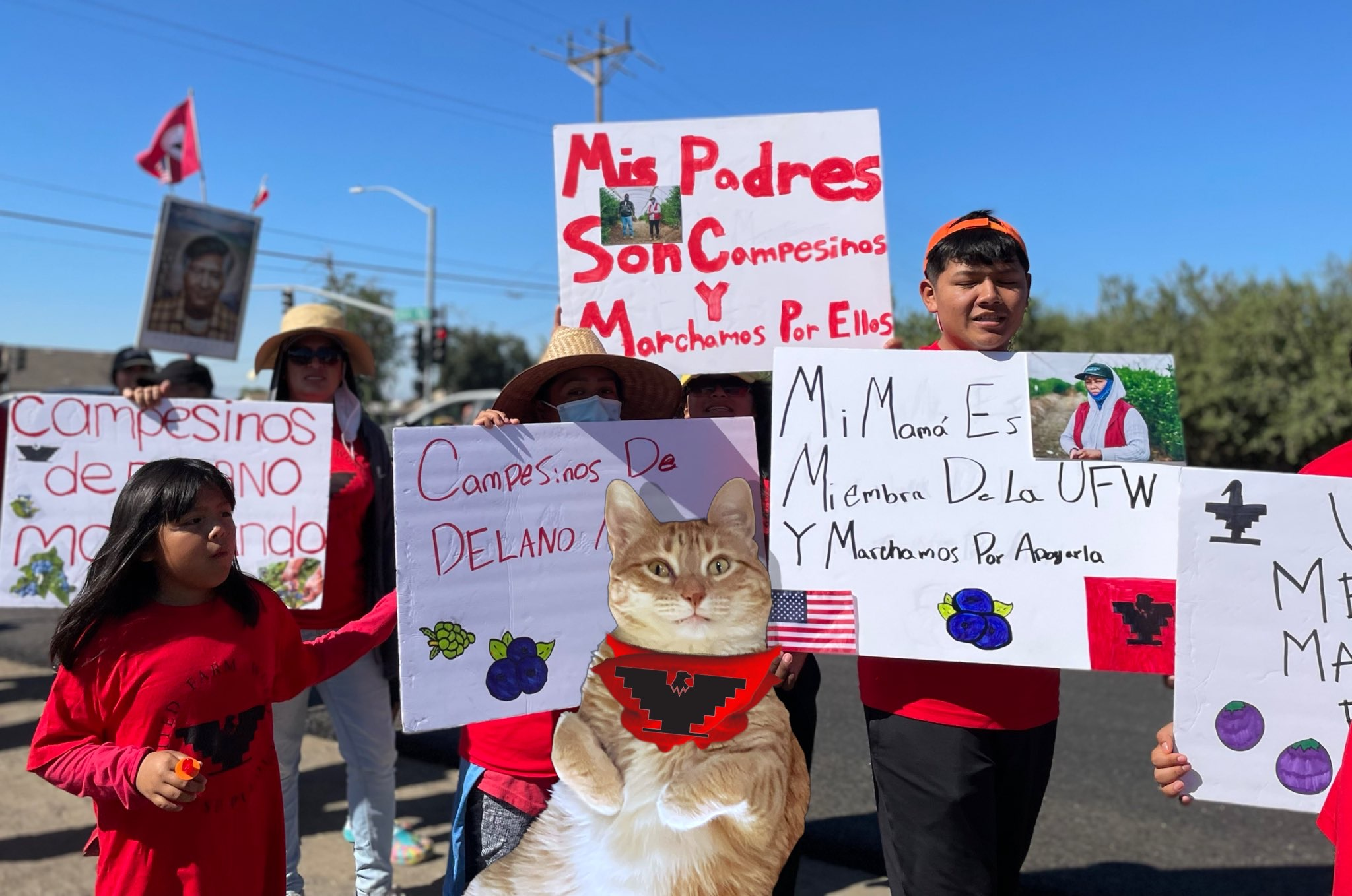 An orange cat in a UFW bandana is superimposed on photos of people marching for the UFW in California.