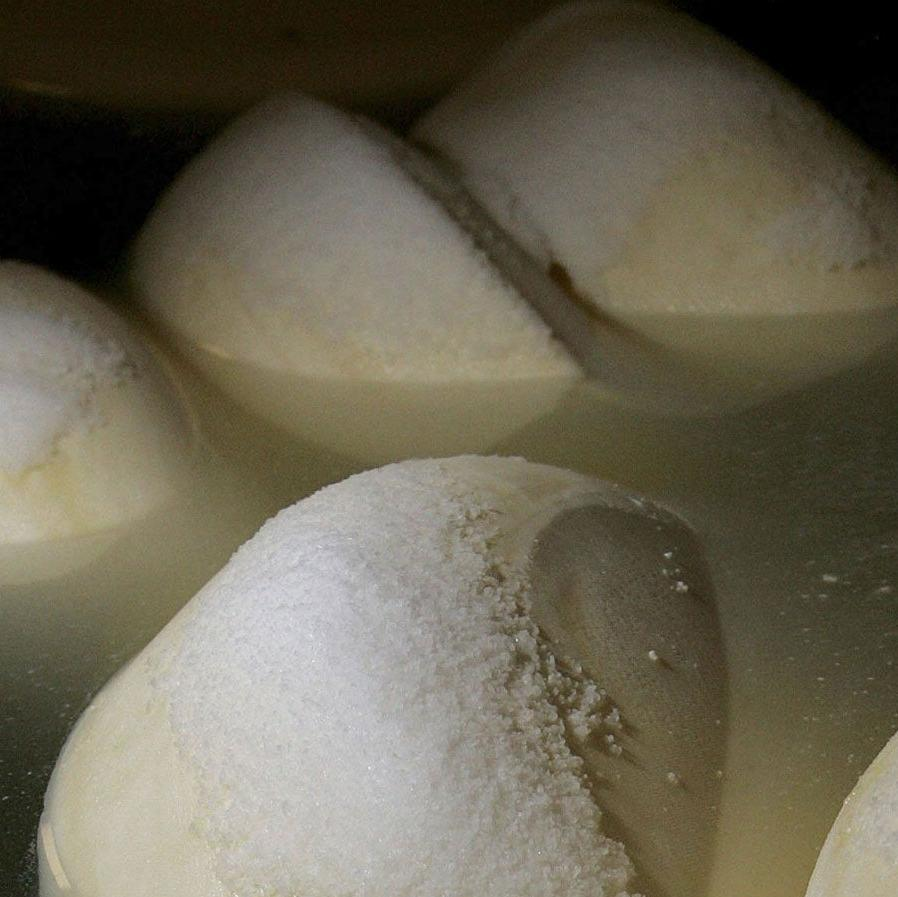 A photo of cheese wheels floating in brine. 