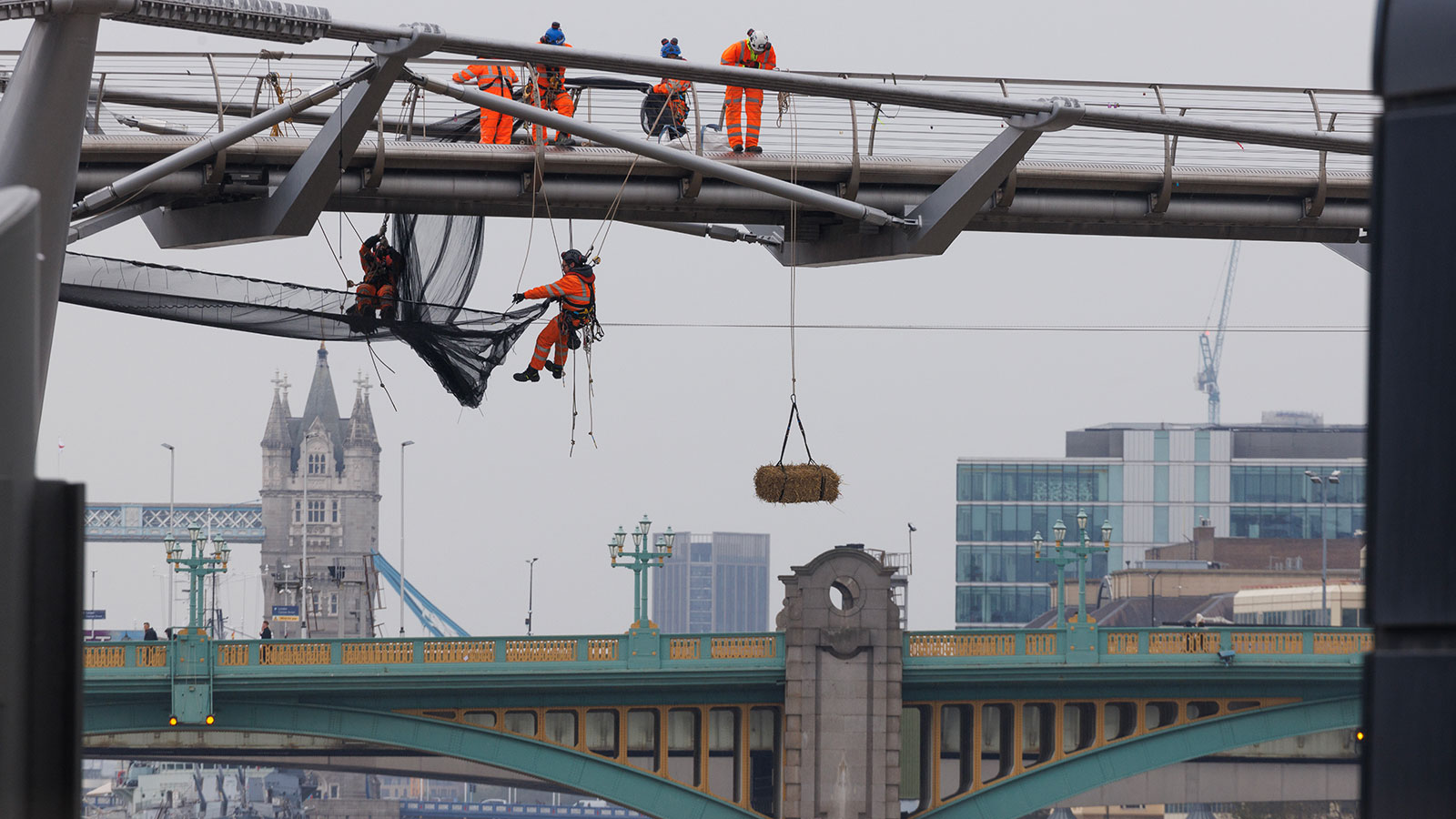 A photo of workers on the Millennium Bridge hanging hay below it. 