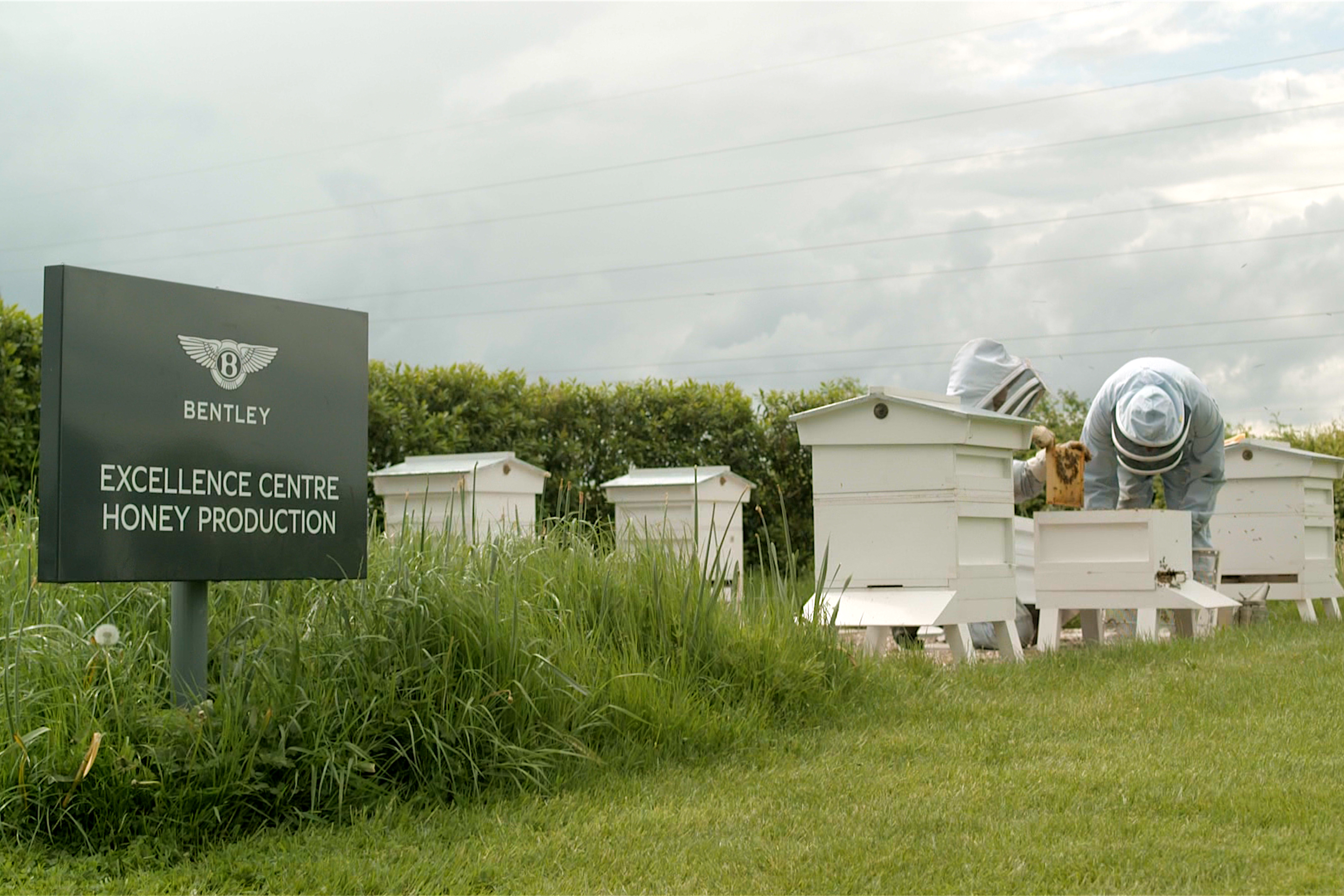 Bentley's beehives at its Excellence Centre for Honey Production